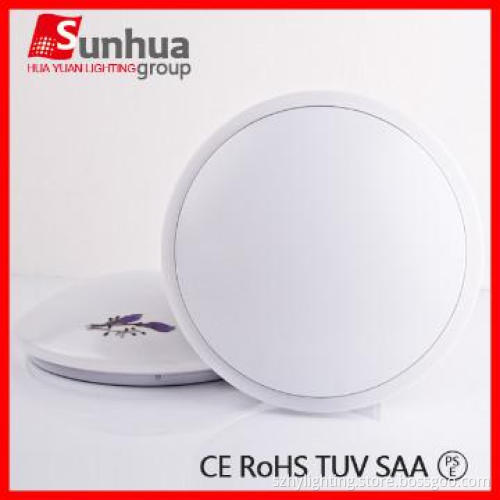 professional lighting LED ceiling light from China